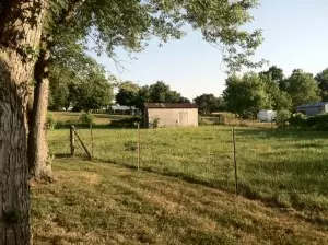 4146 Meadows Ct, Harrison, AR 72601 photo 9