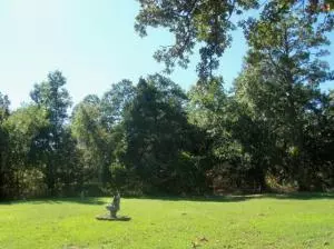 4910 Polite Rd, Omaha, AR 72662 photo 3