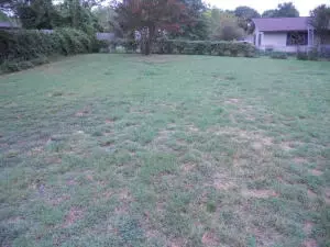 707 Gipson, Harrison, AR 72601 photo 8