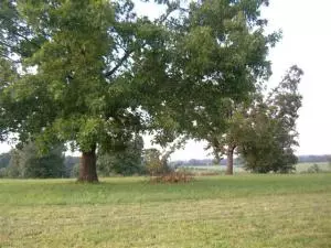 812 York Dr, Harrison, AR 72601 photo 1