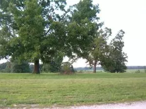 812 York Dr, Harrison, AR 72601 photo 3