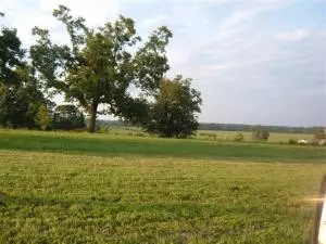 812 York Dr, Harrison, AR 72601 photo 5