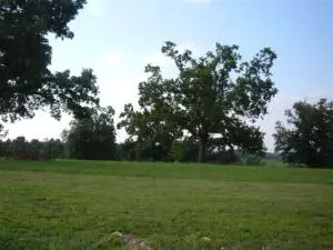 812 York Dr, Harrison, AR 72601 photo 4
