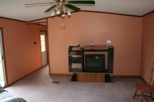 1552 Cheatham, Harrison, AR 72601 photo 4