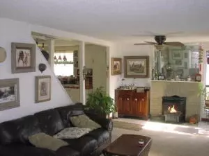 610 W Clark St, Jasper, AR 72641 photo 4