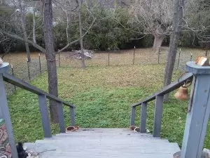 610 W Clark St, Jasper, AR 72641 photo 24