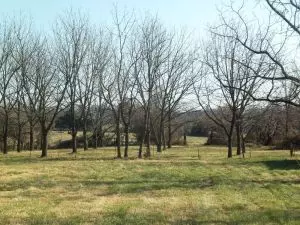 1201 Hwy 123, Harrison, AR 72601 photo 2