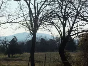 1201 Hwy 123, Harrison, AR 72601 photo 5