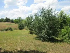 2329 Aspen Rd, Harrison, AR 72601 photo 22