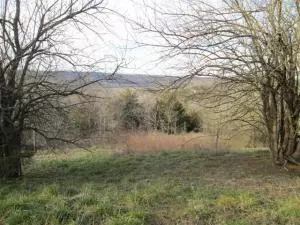 14317 E Us Hwy 62 Hwy, Harrison, AR 72601 photo 12
