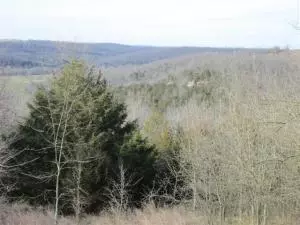 14317 E Us Hwy 62 Hwy, Harrison, AR 72601 photo 13