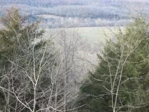 14317 E Us Hwy 62 Hwy, Harrison, AR 72601 photo 14