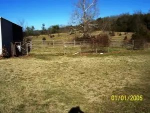 7563 Old Ritchie Rd, Lead Hill, AR 72644 photo 34