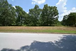 4452 Turnbury Dr, Harrison, AR 72601 photo 1