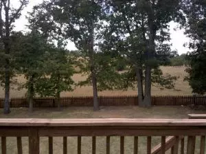 1910 Daly Dr, Harrison, AR 72601 photo 23