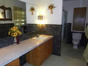 410 E College St, Harrison, AR 72601 photo 8