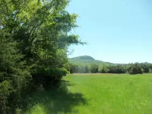 4322 Starlite Dr, Harrison, AR 72601 photo 4