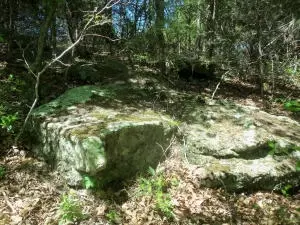 4322 Starlite Dr, Harrison, AR 72601 photo 8