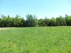 4322 Starlite Dr, Harrison, AR 72601 photo 6
