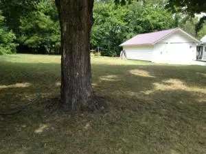 308 S Hickory, Harrison, AR 72601 photo 5