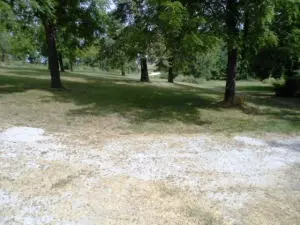 1575 Countryside Rd, Harrison, AR 72601 photo 24