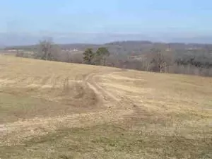 13459 Hwy 62 E, Harrison, AR 72601 photo 5