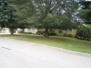 36 Mimosa, Harrison, AR 72601 photo 21