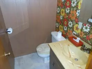 36 Mimosa, Harrison, AR 72601 photo 18