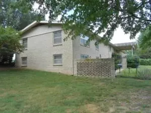 36 Mimosa, Harrison, AR 72601 photo 22