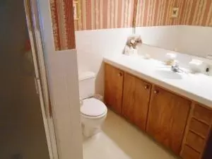 36 Mimosa, Harrison, AR 72601 photo 13