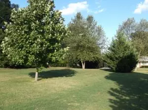603 Oriole St, Harrison, AR 72601 photo 23