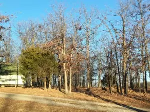 4494 Cherry Tree Ln, Harrison, AR 72601 photo 12