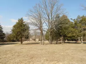5724 Cowan Loop, Harrison, AR 72601 photo 60