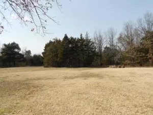 5724 Cowan Loop, Harrison, AR 72601 photo 57