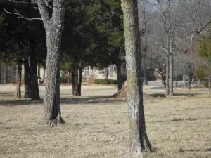 5724 Cowan Loop, Harrison, AR 72601 photo 59