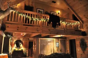 4300 Starlite Dr, Harrison, AR 72601 photo 19