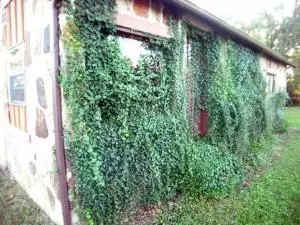 7043 Limestone Dr, Harrison, AR 72601 photo 5