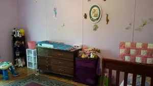 1452 Quiet Cv, Harrison, AR 72601 photo 10