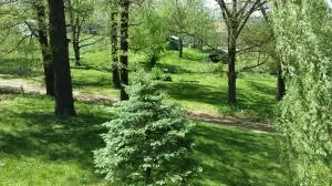 1452 Quiet Cv, Harrison, AR 72601 photo 2