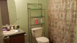1452 Quiet Cv, Harrison, AR 72601 photo 12
