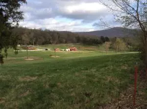 7677 Whispering Pines Rd, Harrison, AR 72601 photo 4