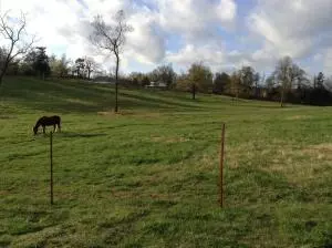 7677 Whispering Pines Rd, Harrison, AR 72601 photo 3