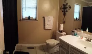 11 Oak Forest Dr, Harrison, AR 72601 photo 25