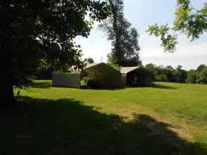 2181 Crawford Rd, Everton, AR 72633 photo 23