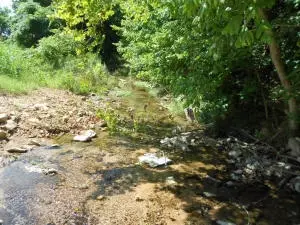 2181 Crawford Rd, Everton, AR 72633 photo 24