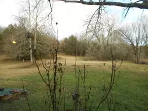 2181 Crawford Rd, Everton, AR 72633 photo 35