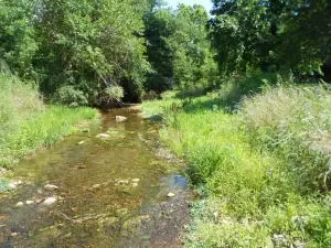 2181 Crawford Rd, Everton, AR 72633 photo 30