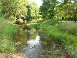 2181 Crawford Rd, Everton, AR 72633 photo 25