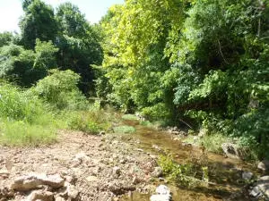 2181 Crawford Rd, Everton, AR 72633 photo 27