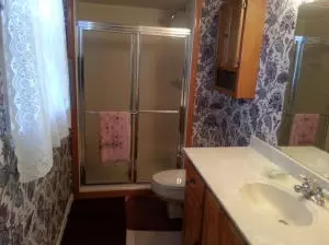 309 Pebble Beach Dr, Harrison, AR 72601 photo 14